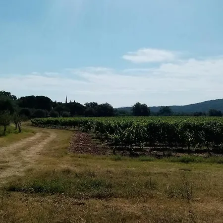 Apartment T2 Au Coeur Des Vignes Cogolin