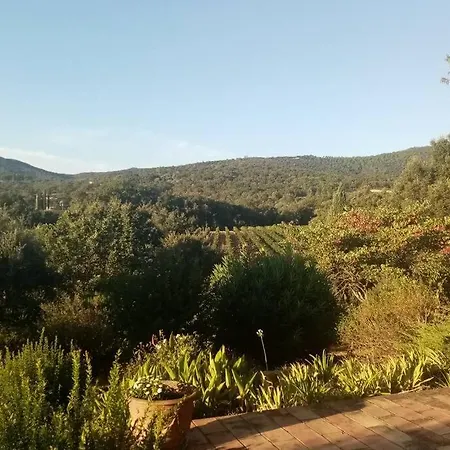 T2 Au Coeur Des Vignes *