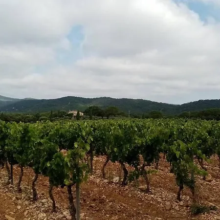 T2 Au Coeur Des Vignes Lägenhet