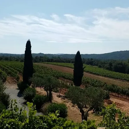 T2 Au Coeur Des Vignes *