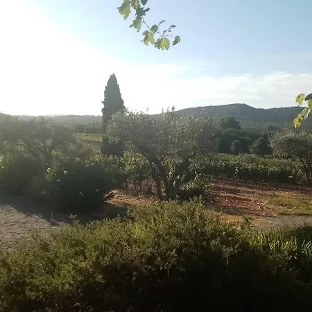 Apartment T2 Au Coeur Des Vignes Cogolin