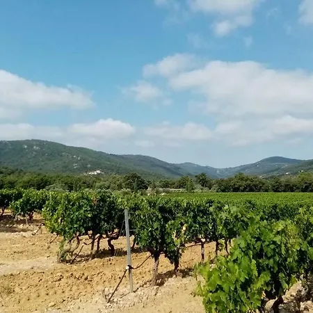 T2 Au Coeur Des Vignes Lägenhet *