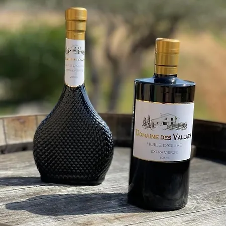 T2 Au Coeur Des Vignes * Cogolin