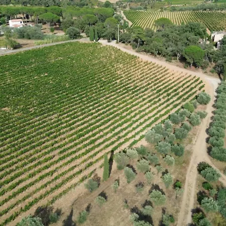 Apartment T2 Au Coeur Des Vignes