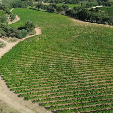 Appartamento T2 Au Coeur Des Vignes *